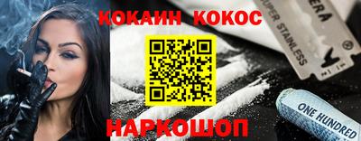 гашик Кингисепп