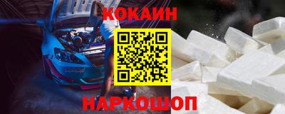 гашик Кингисепп