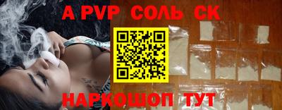 гашик Кингисепп