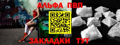 гашик Кингисепп