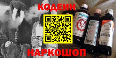 гашик Кингисепп