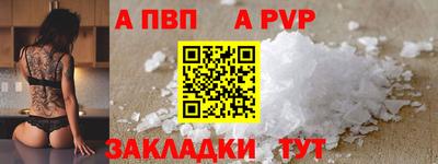 гашик Кингисепп