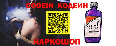 гашик Кингисепп