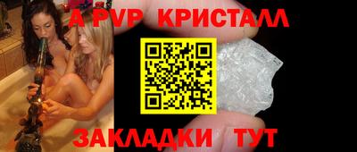 гашик Кингисепп