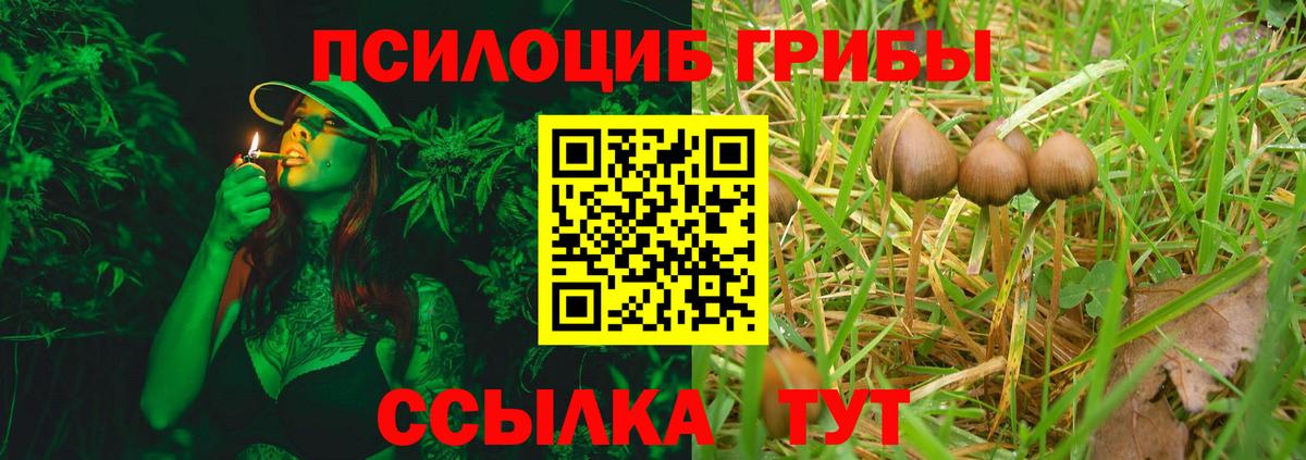 Сухой Лог  Галлюциногенные грибы Cubensis  Псилоцибиновые грибы Psilocybine cubensis  цены наркотик  Вход с VPN 