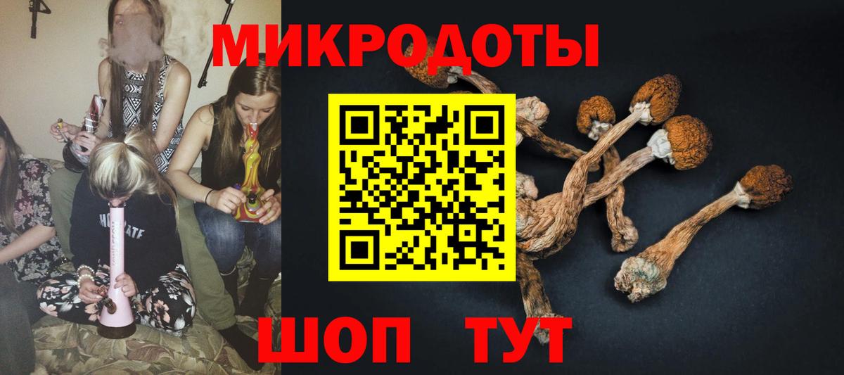 Псилоцибиновые грибы Magic Shrooms Сухой Лог